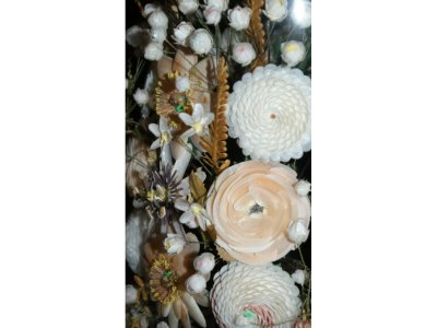 Bouquets de coquillages