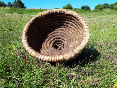 Ruche en paille et ronce