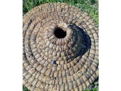 Ruche en paille et ronce
